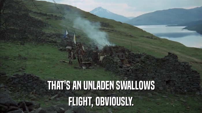 THAT'S AN UNLADEN SWALLOWS FLIGHT, OBVIOUSLY. 