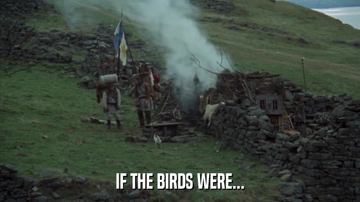IF THE BIRDS WERE...  