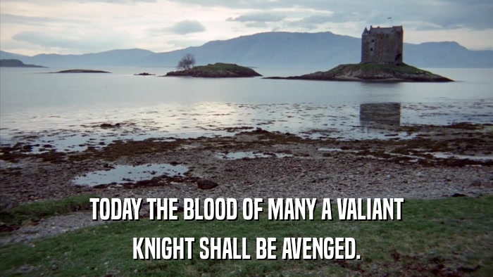 TODAY THE BLOOD OF MANY A VALIANT KNIGHT SHALL BE AVENGED. 