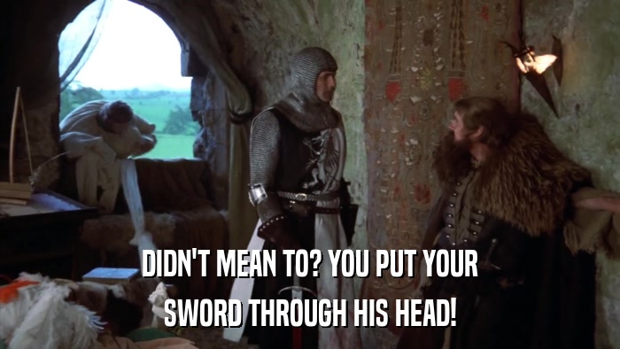 DIDN'T MEAN TO? YOU PUT YOUR SWORD THROUGH HIS HEAD! 
