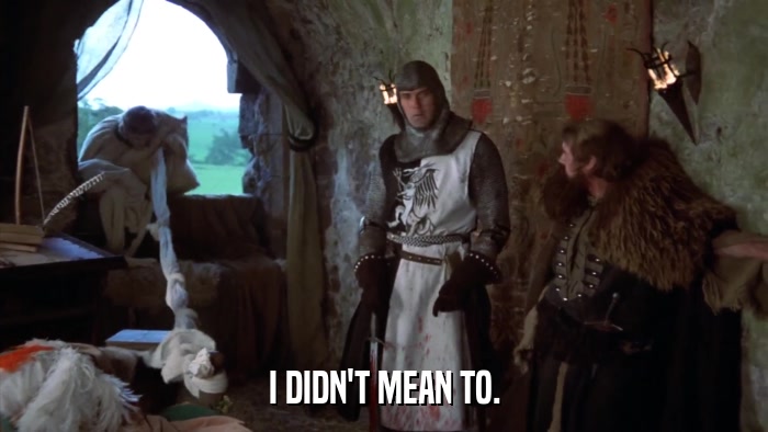 I DIDN'T MEAN TO.  