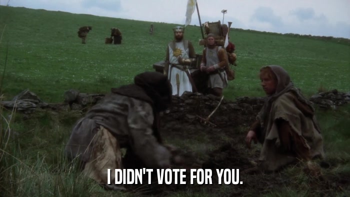 I DIDN'T VOTE FOR YOU.  