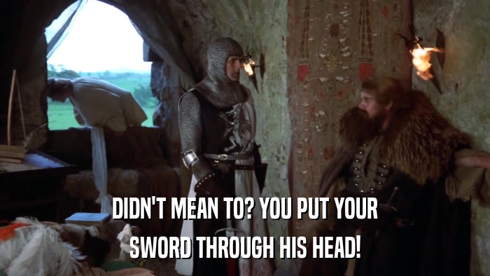 DIDN'T MEAN TO? YOU PUT YOUR SWORD THROUGH HIS HEAD! 