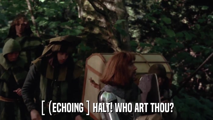 [ (ECHOING ] HALT! WHO ART THOU?  