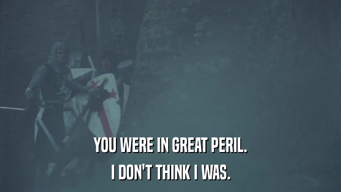YOU WERE IN GREAT PERIL. I DON'T THINK I WAS. 