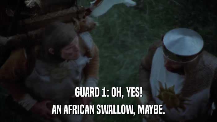 GUARD 1: OH, YES! AN AFRICAN SWALLOW, MAYBE. 