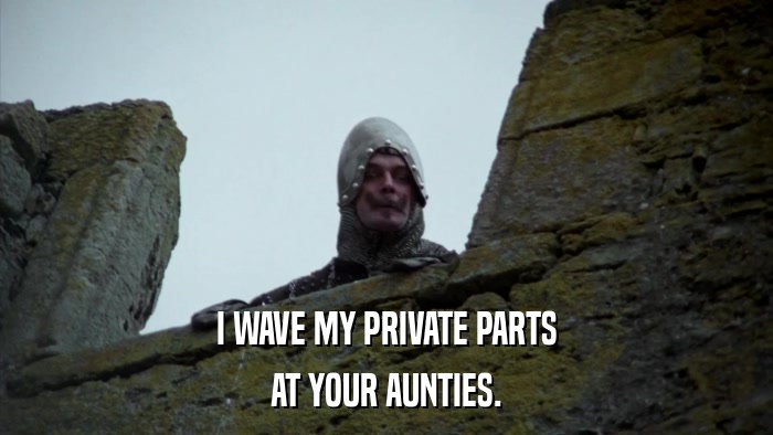 I WAVE MY PRIVATE PARTS AT YOUR AUNTIES. 