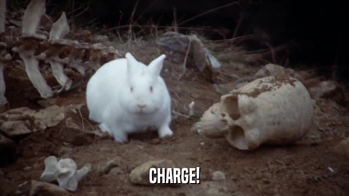 CHARGE!  