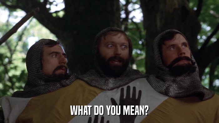 WHAT DO YOU MEAN?  