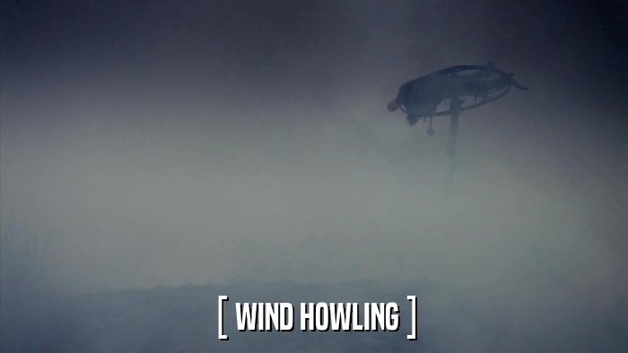 [ WIND HOWLING ]  