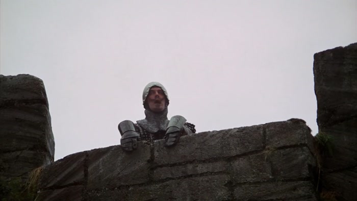YOU AND ALL YOUR SILLY ENGLISH KNIGHTS. 