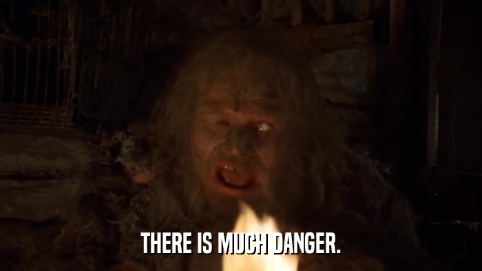 THERE IS MUCH DANGER.  