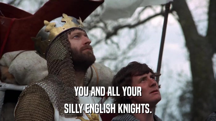 YOU AND ALL YOUR SILLY ENGLISH KNIGHTS. 