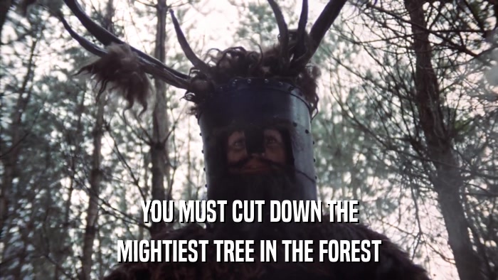 YOU MUST CUT DOWN THE MIGHTIEST TREE IN THE FOREST 