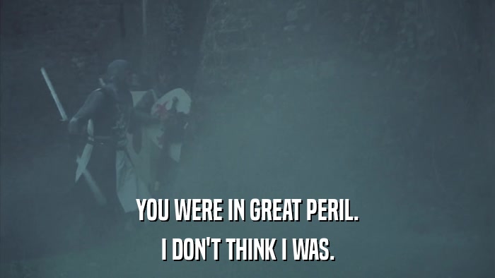 YOU WERE IN GREAT PERIL. I DON'T THINK I WAS. 