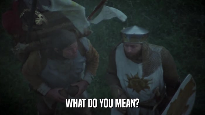 WHAT DO YOU MEAN?  