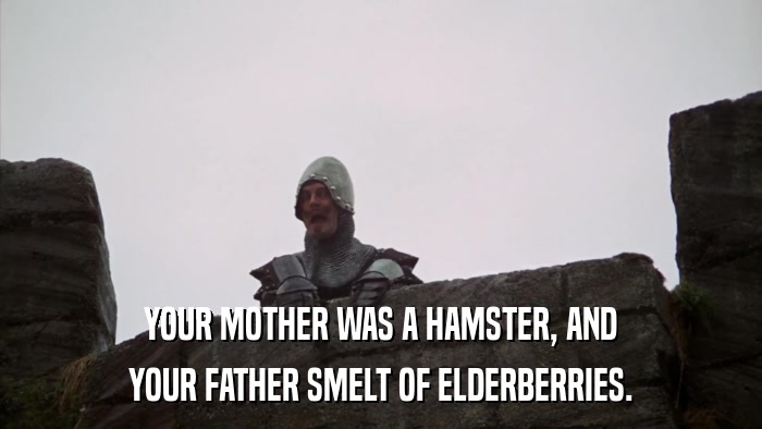 YOUR MOTHER WAS A HAMSTER, AND YOUR FATHER SMELT OF ELDERBERRIES. 