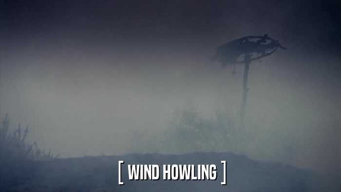 [ WIND HOWLING ]  