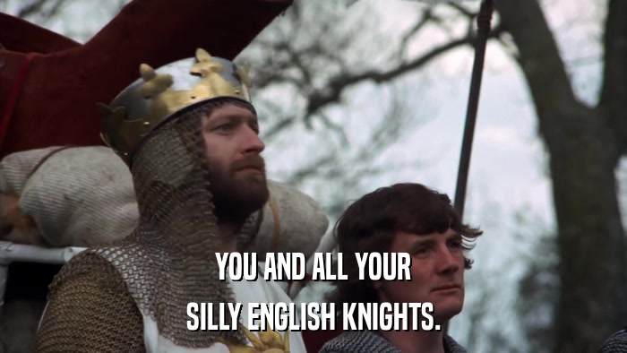 YOU AND ALL YOUR SILLY ENGLISH KNIGHTS. 