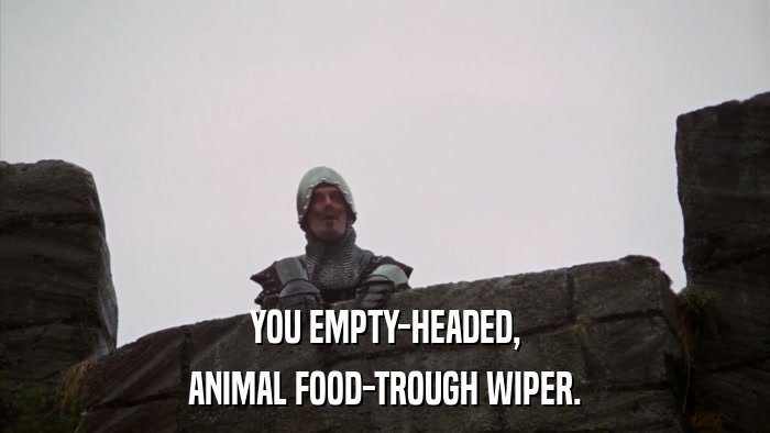 YOU EMPTY-HEADED, ANIMAL FOOD-TROUGH WIPER. 