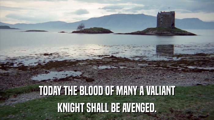 TODAY THE BLOOD OF MANY A VALIANT KNIGHT SHALL BE AVENGED. 