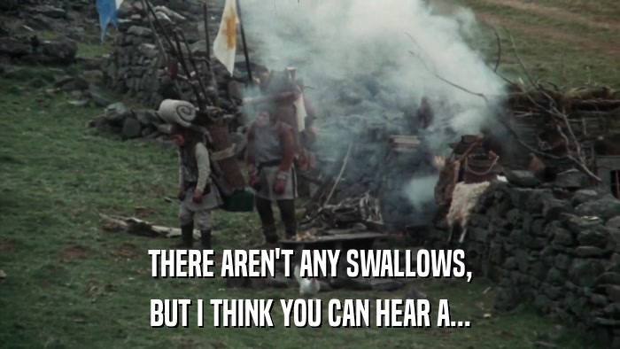 THERE AREN'T ANY SWALLOWS, BUT I THINK YOU CAN HEAR A... 