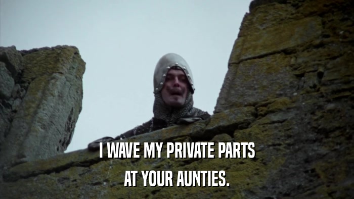 I WAVE MY PRIVATE PARTS AT YOUR AUNTIES. 