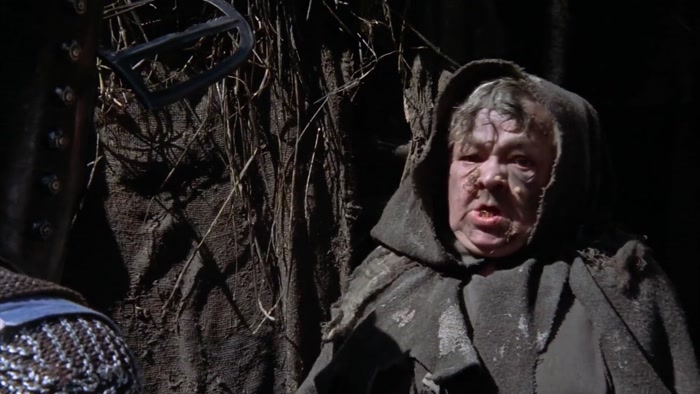 NO! WE HAVE NO SHRUBBERIES HERE.  