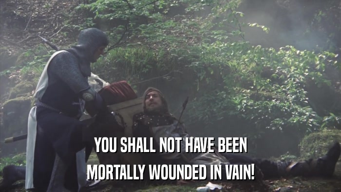 YOU SHALL NOT HAVE BEEN MORTALLY WOUNDED IN VAIN! 