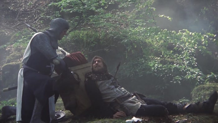 YOU SHALL NOT HAVE BEEN MORTALLY WOUNDED IN VAIN! 