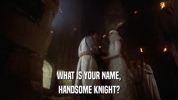 WHAT IS YOUR NAME, HANDSOME KNIGHT? 