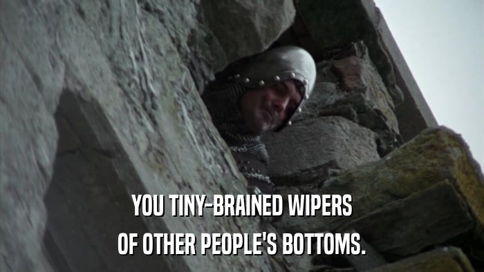 YOU TINY-BRAINED WIPERS OF OTHER PEOPLE'S BOTTOMS. 