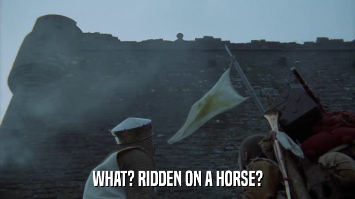 WHAT? RIDDEN ON A HORSE?  
