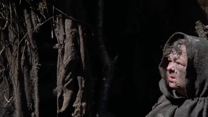 IS THERE ANYWHERE IN THIS TOWN WHERE WE COULD BUY A SHRUBBERY? 
