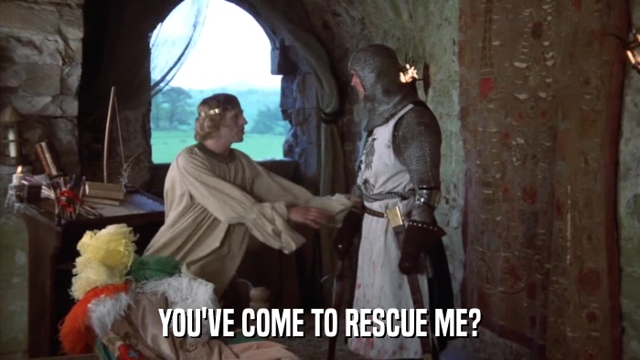 YOU'VE COME TO RESCUE ME?  