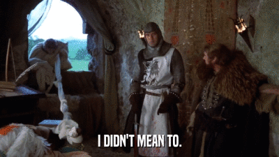 I DIDN'T MEAN TO.  