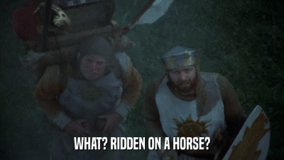 WHAT? RIDDEN ON A HORSE?  