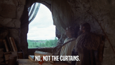 NO, NOT THE CURTAINS.  