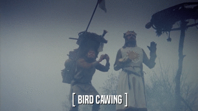 [ BIRD CAWING ]  