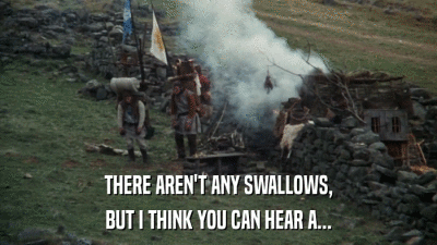 THERE AREN'T ANY SWALLOWS, BUT I THINK YOU CAN HEAR A... 
