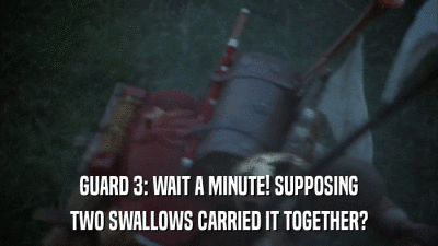 GUARD 3: WAIT A MINUTE! SUPPOSING TWO SWALLOWS CARRIED IT TOGETHER? 
