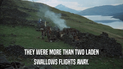 THEY WERE MORE THAN TWO LADEN SWALLOWS FLIGHTS AWAY. 