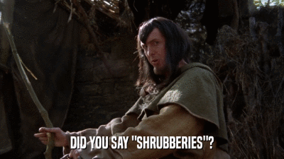 DID YOU SAY 