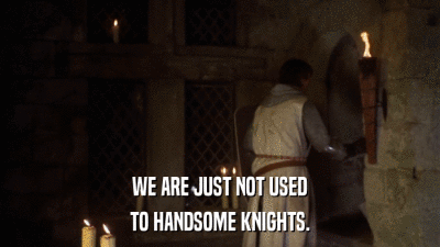 WE ARE JUST NOT USED TO HANDSOME KNIGHTS. 