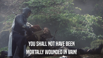 YOU SHALL NOT HAVE BEEN MORTALLY WOUNDED IN VAIN! 