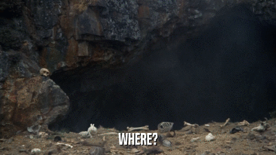 WHERE?  