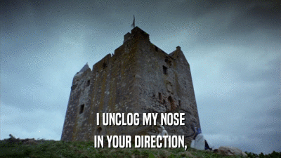 I UNCLOG MY NOSE IN YOUR DIRECTION, 