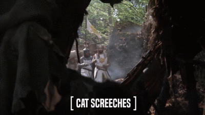 [ CAT SCREECHES ]  