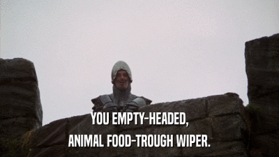 YOU EMPTY-HEADED, ANIMAL FOOD-TROUGH WIPER. 
