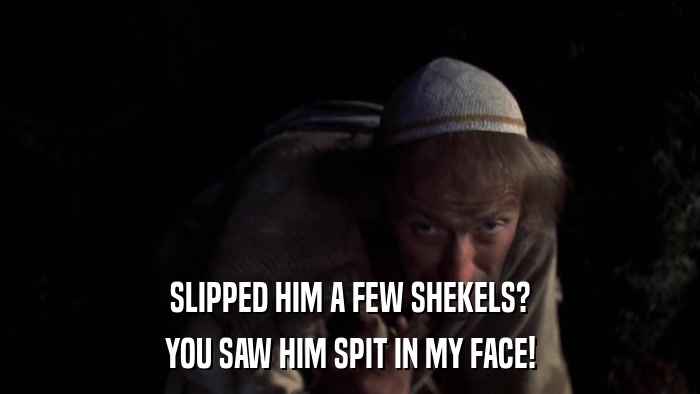 SLIPPED HIM A FEW SHEKELS? YOU SAW HIM SPIT IN MY FACE! 